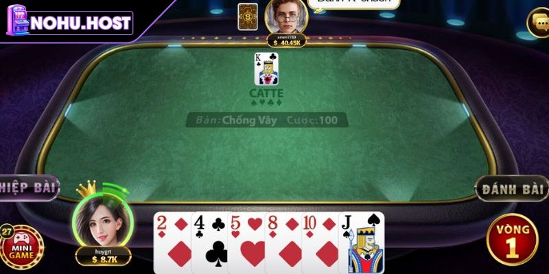 Giới thiệu về Catte NOHU